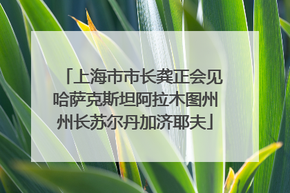 上海市市长龚正会见哈萨克斯坦阿拉木图州州长苏尔丹加济耶夫